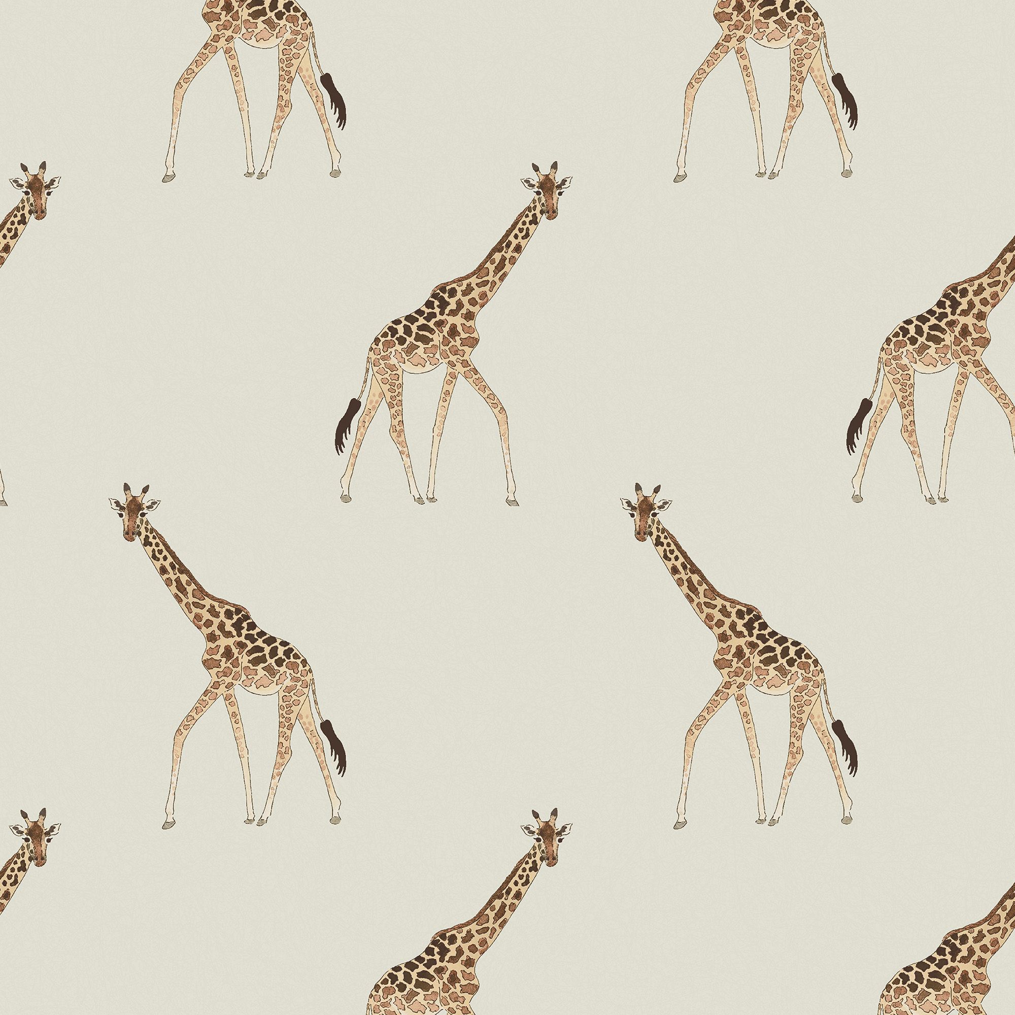 146862 Giraffe Off White Wallpaper by Sophie Allport