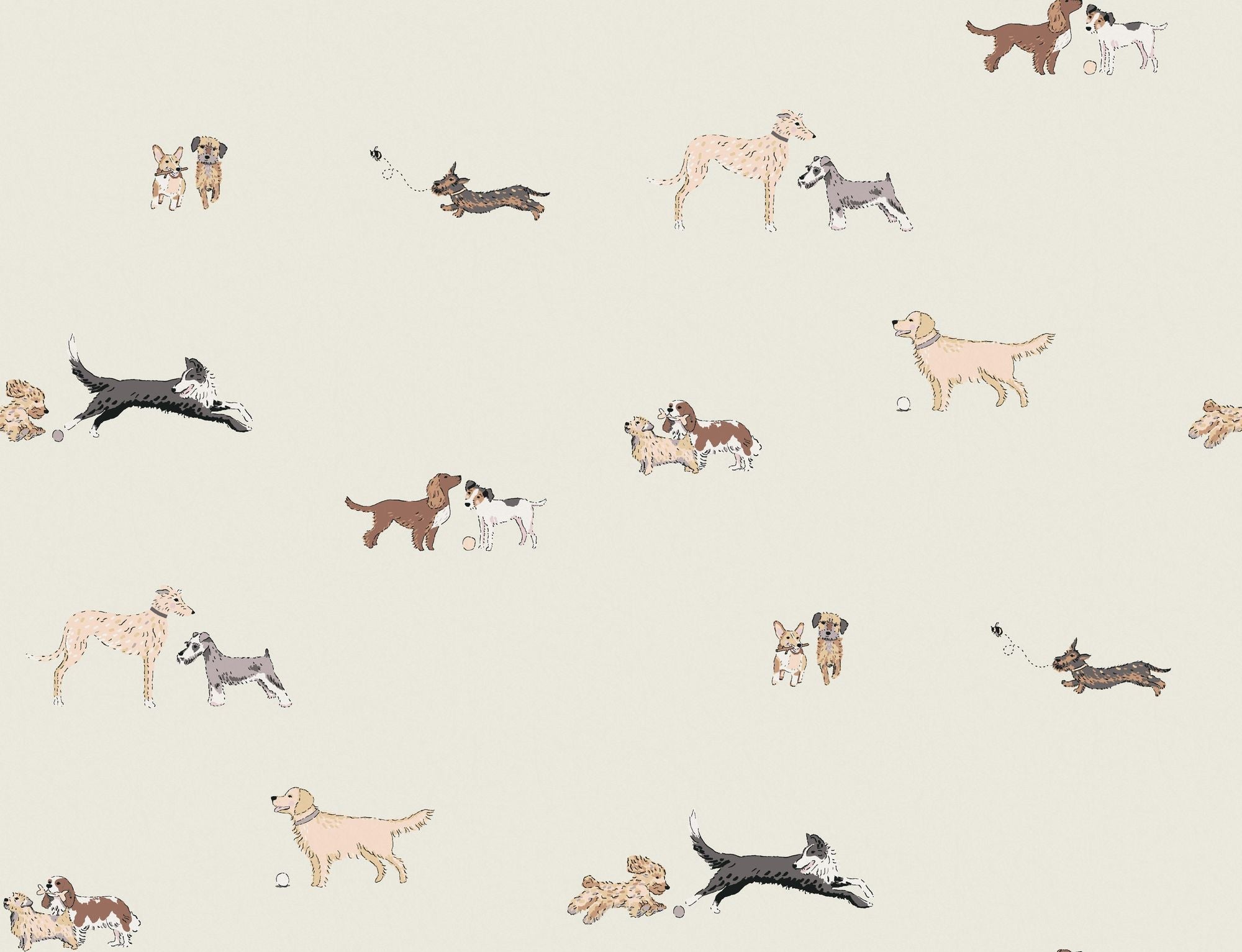 146866 Doggy Daycare Off White Off wWhite Wallpaper by Sophie Allport