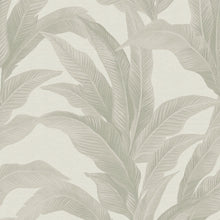146889 Palm Print Linen Look Next AW26 Wallpaper by Next