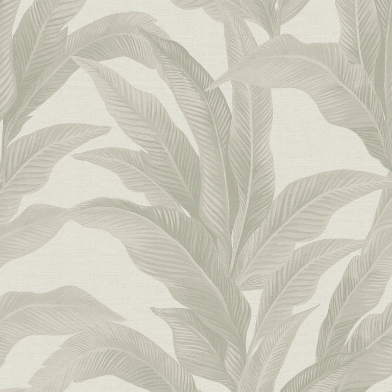 146889 Palm Print Linen Look Next AW26 Wallpaper by Next