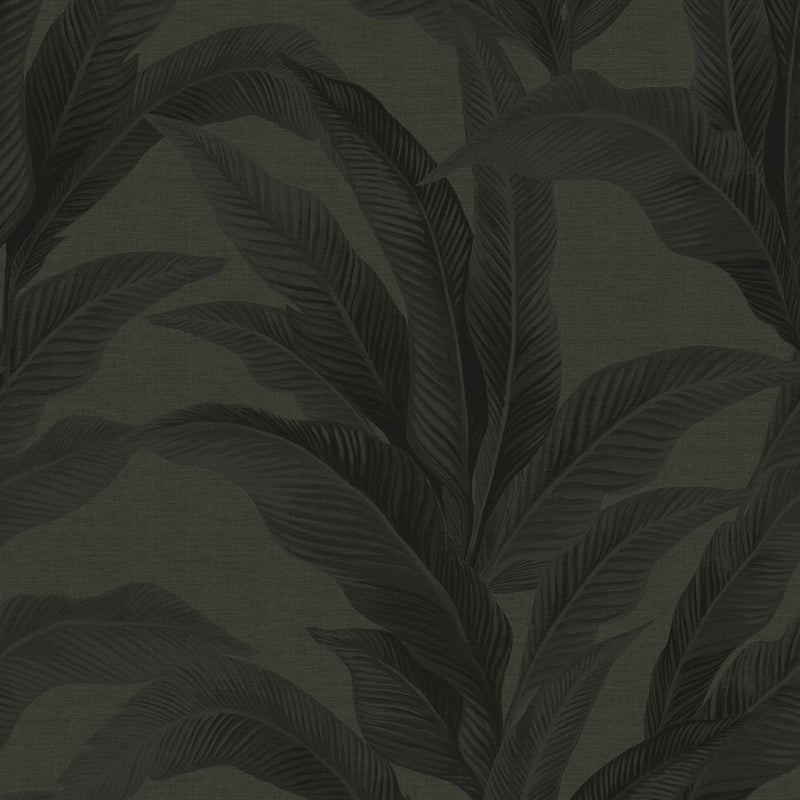 146890 Palm Print Deep Green Next AW26 Wallpaper by Next