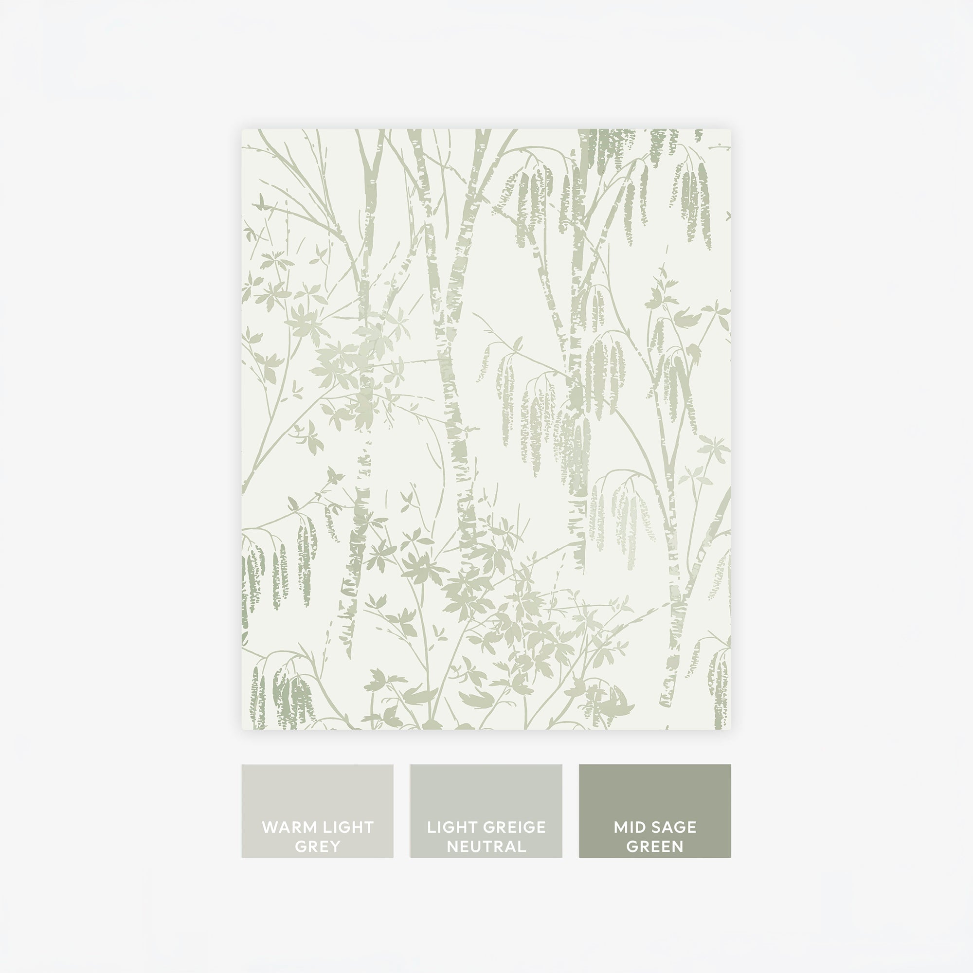 146905 Fiorire Sage Green Next AW26 Wallpaper by Next