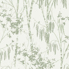 146905 Fiorire Sage Green Next AW26 Wallpaper by Next