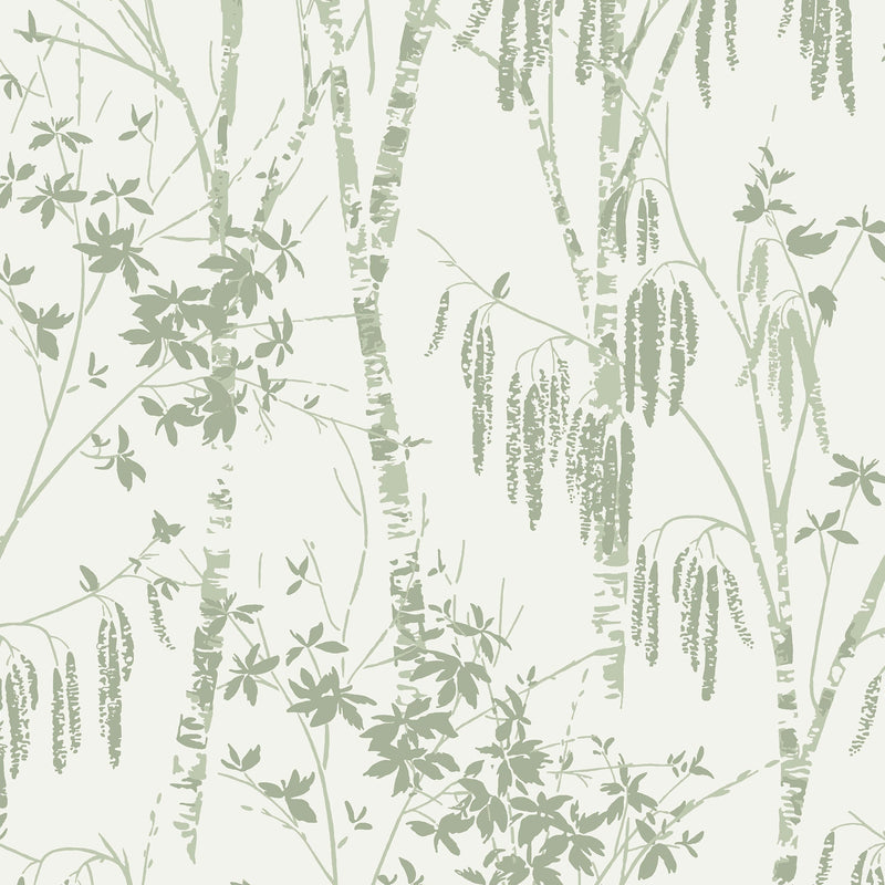 146905 Fiorire Sage Green Next AW26 Wallpaper by Next