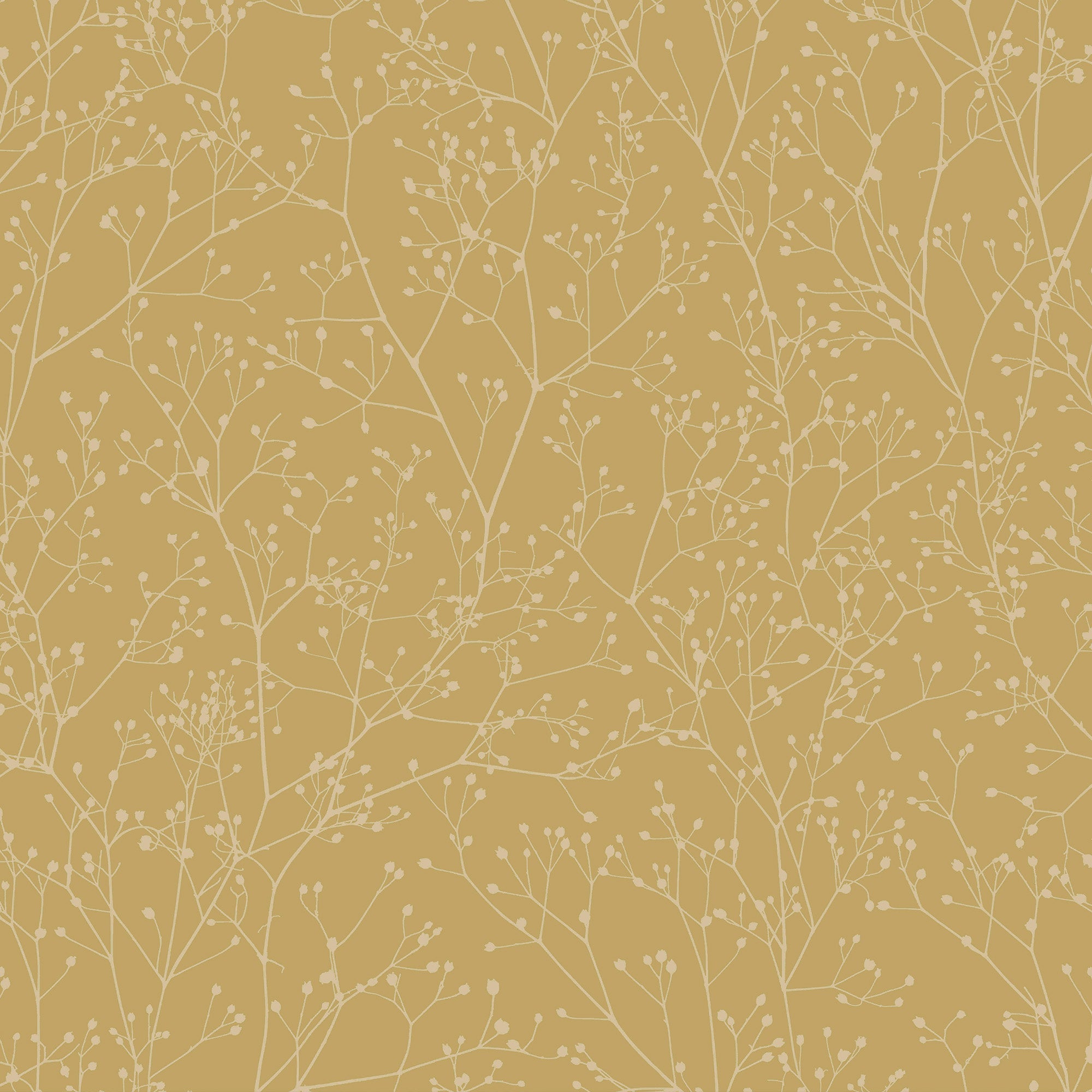 146992 Gypsophila Primrose & Pewter Clarissa Hulse AW26 Wallpaper by Clarissa Hulse