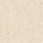 146993 Gypsophila Vanilla & Pewter Clarissa Hulse AW26 Wallpaper by Clarissa Hulse