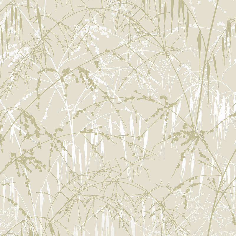 146997 Meadow Grass Pearl Clarissa Hulse AW26 Wallpaper by Clarissa Hulse