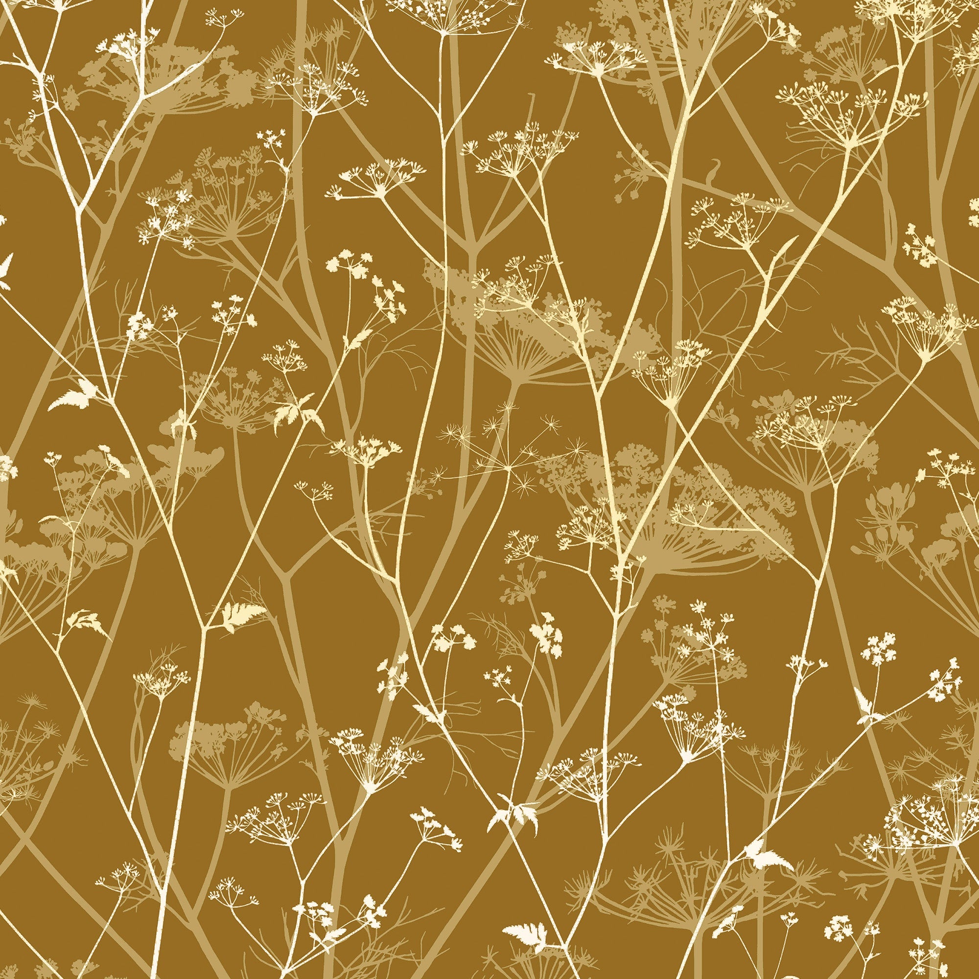 147004 Wild Chervil Mustard & Pewter Clarissa Hulse AW26 Wallpaper by Clarissa Hulse