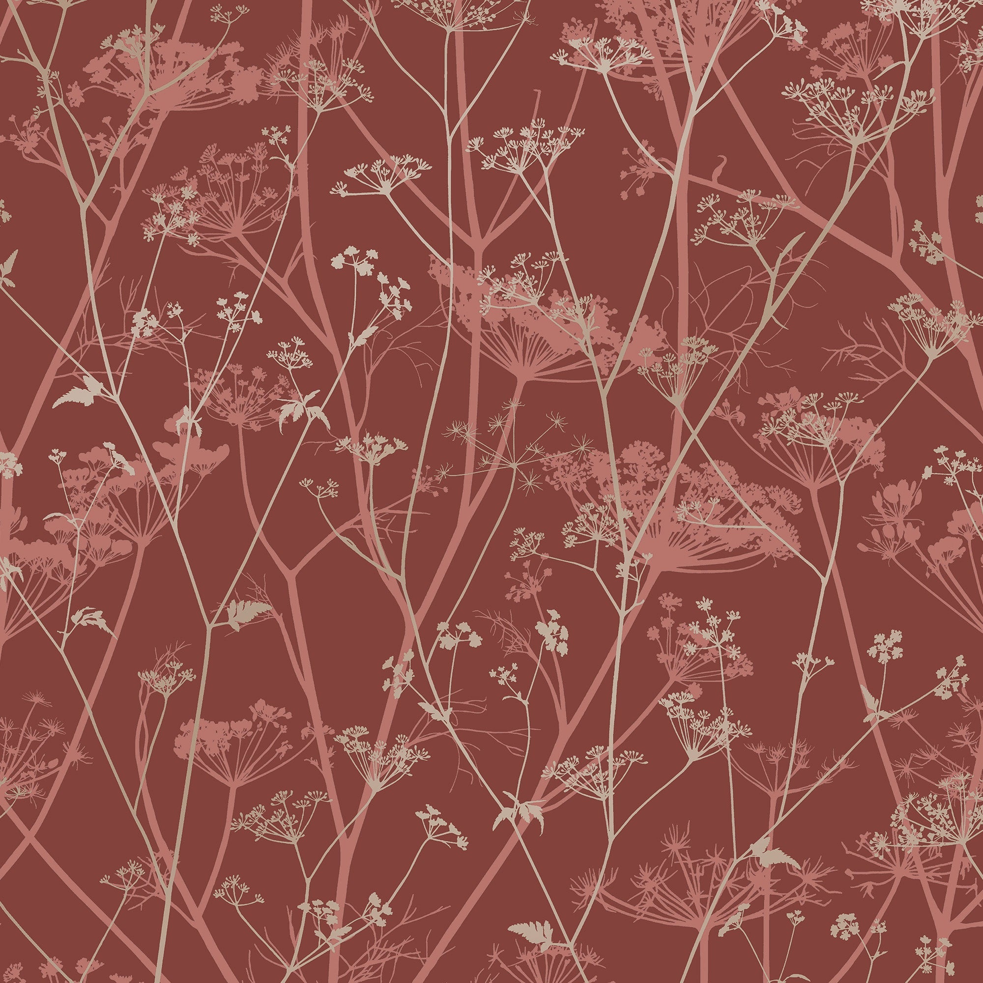 147005 Wild Chervil Madder & Pewter Clarissa Hulse AW26 Wallpaper by Clarissa Hulse