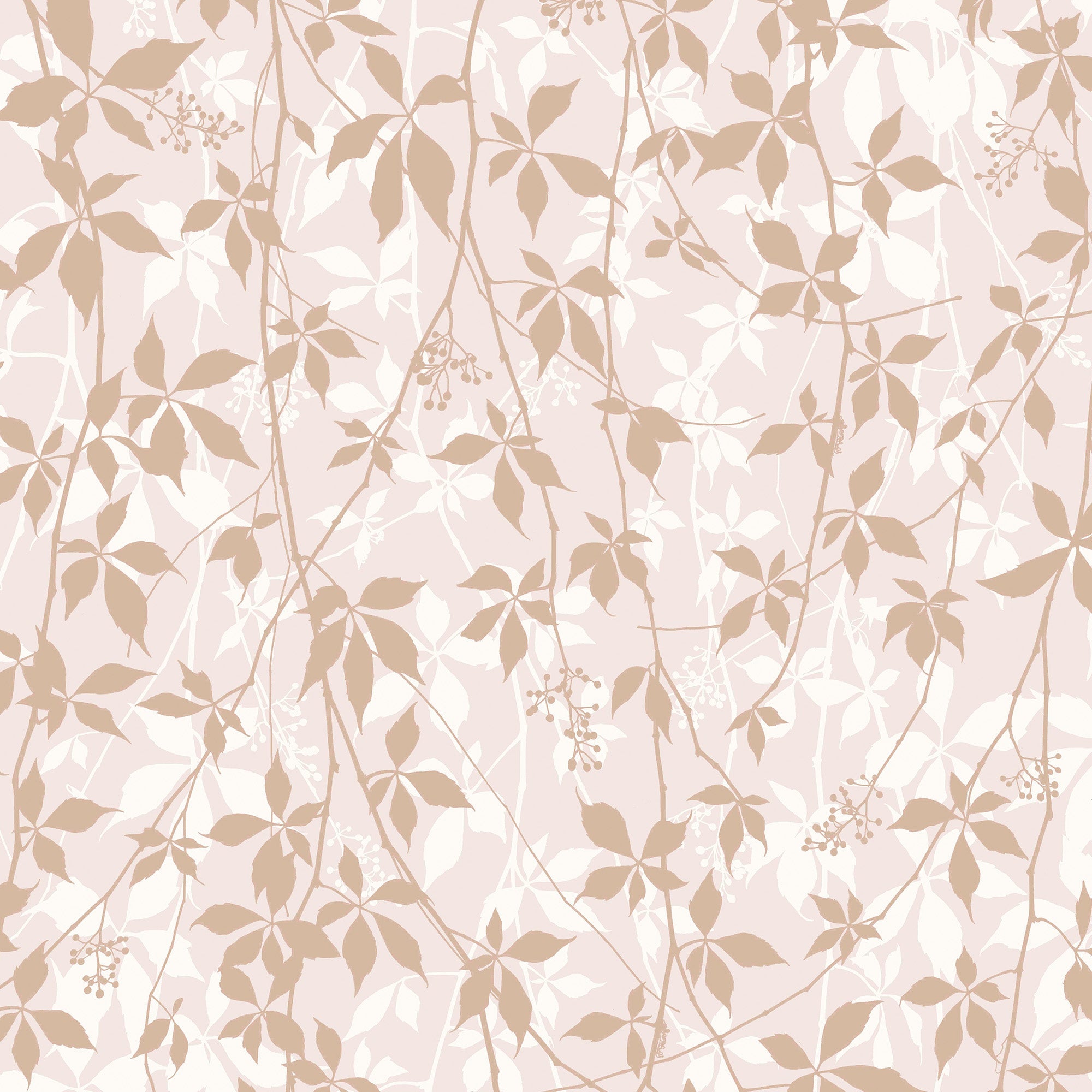 147008 Virginia Creeper Blush & Rose Gold Clarissa Hulse AW26 Wallpaper by Clarissa Hulse