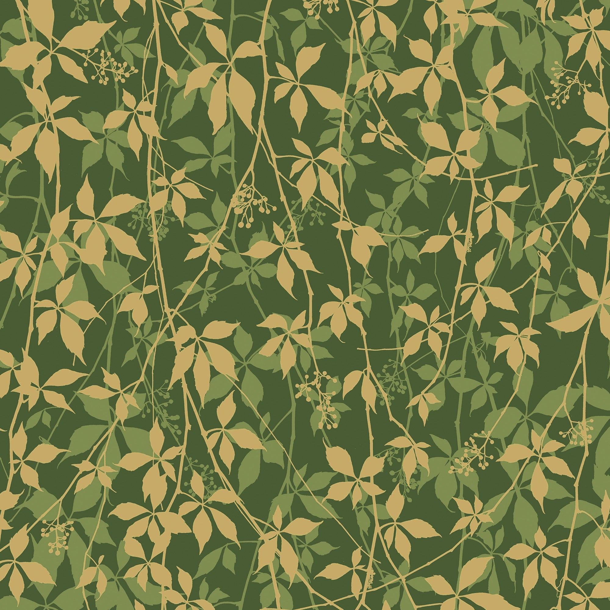 147010 Virginia Creeper Basil & Gold Clarissa Hulse AW26 Wallpaper by Clarissa Hulse