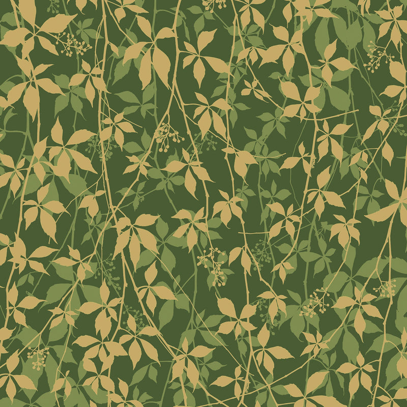 147010 Virginia Creeper Basil & Gold Clarissa Hulse AW26 Wallpaper by Clarissa Hulse