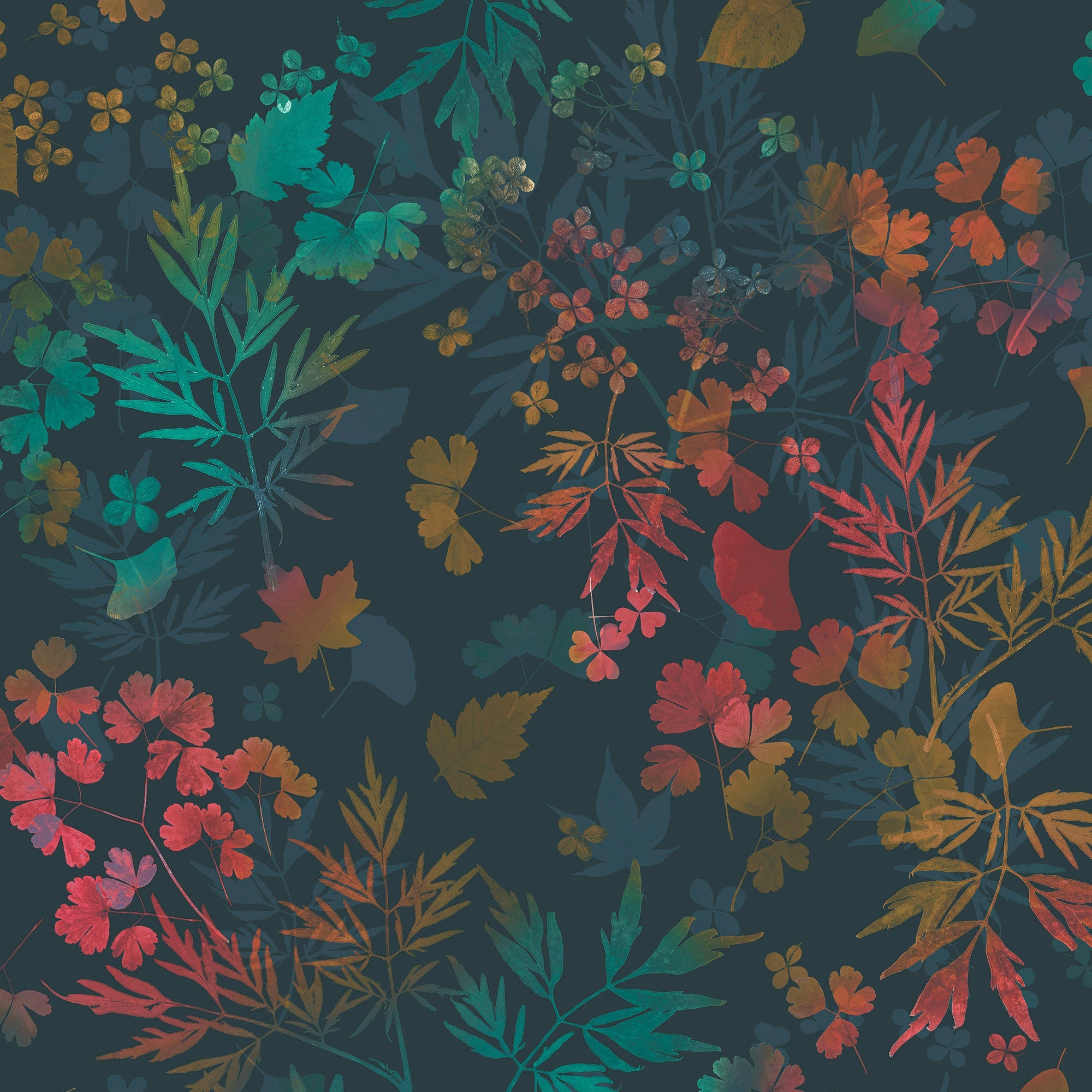 147012 Windfall Rainbow Clarissa Hulse AW26 Wallpaper by Clarissa Hulse