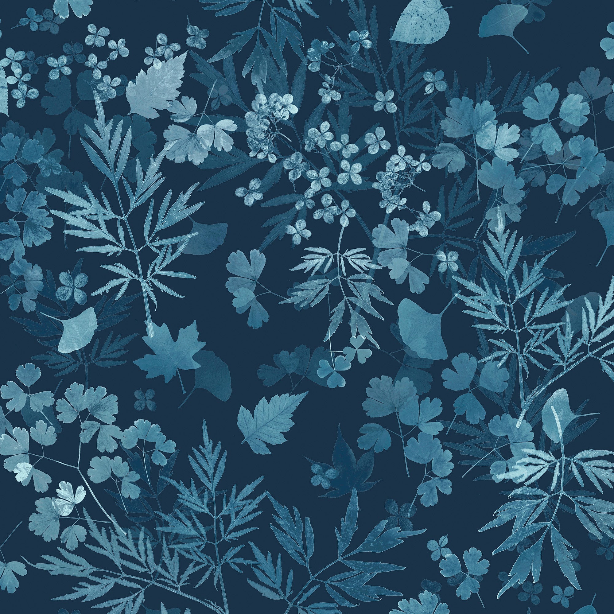 147014 Windfall Sapphire Clarissa Hulse AW26 Wallpaper by Clarissa Hulse