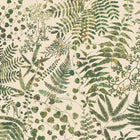147018 Cloud Forest Pistachio Clarissa Hulse AW26 Wallpaper by Clarissa Hulse