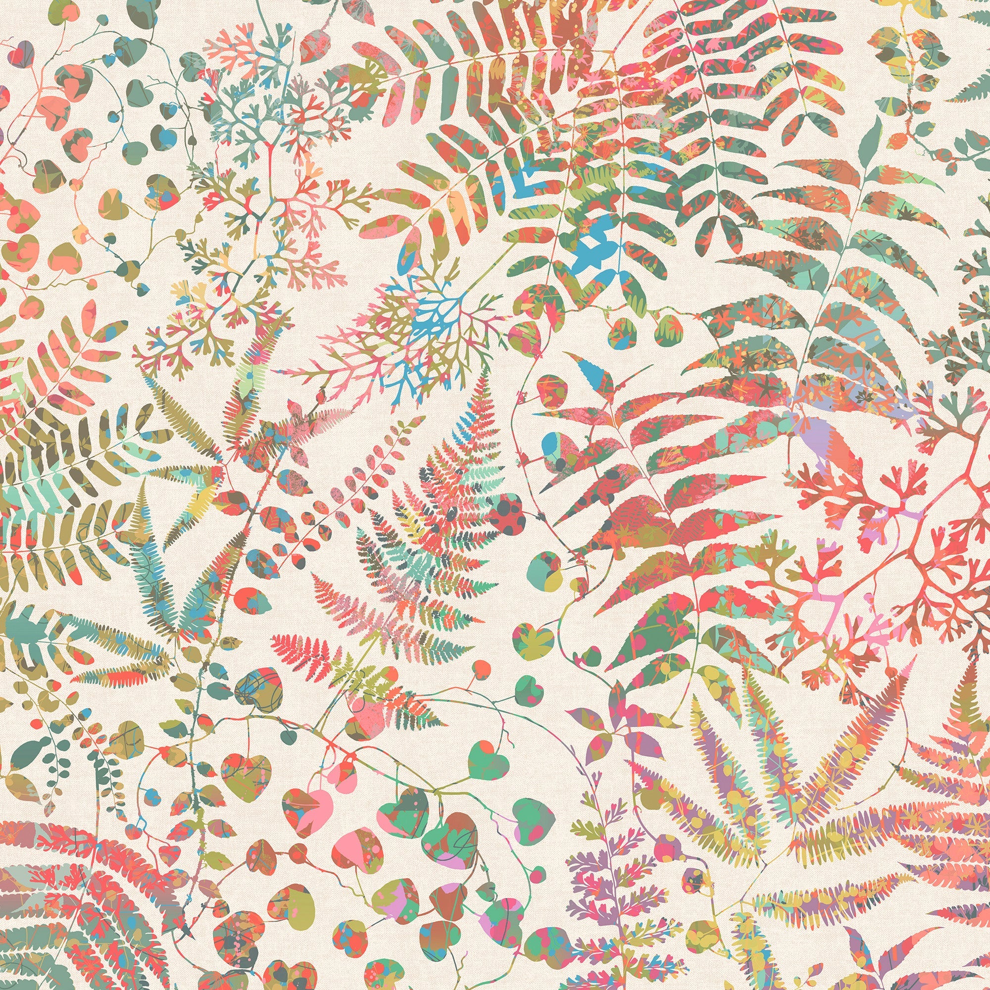 147020 Cloud Forest Calypso Clarissa Hulse AW26 Wallpaper by Clarissa Hulse