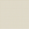 Two Tone Gingham Little Explorers 2 Wallpaper By Galerie