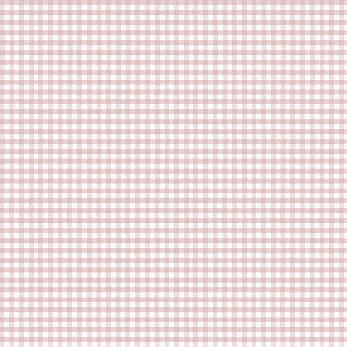 Two Tone Gingham Little Explorers 2 Wallpaper By Galerie