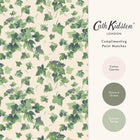 149128 Ivy Sky Green Cath Kidston AW26 Wallpaper by Cath Kidston