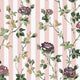 Climbing Rose Pink and Mauve Cath Kidston AW26 Wallpaper by Cath Kidston