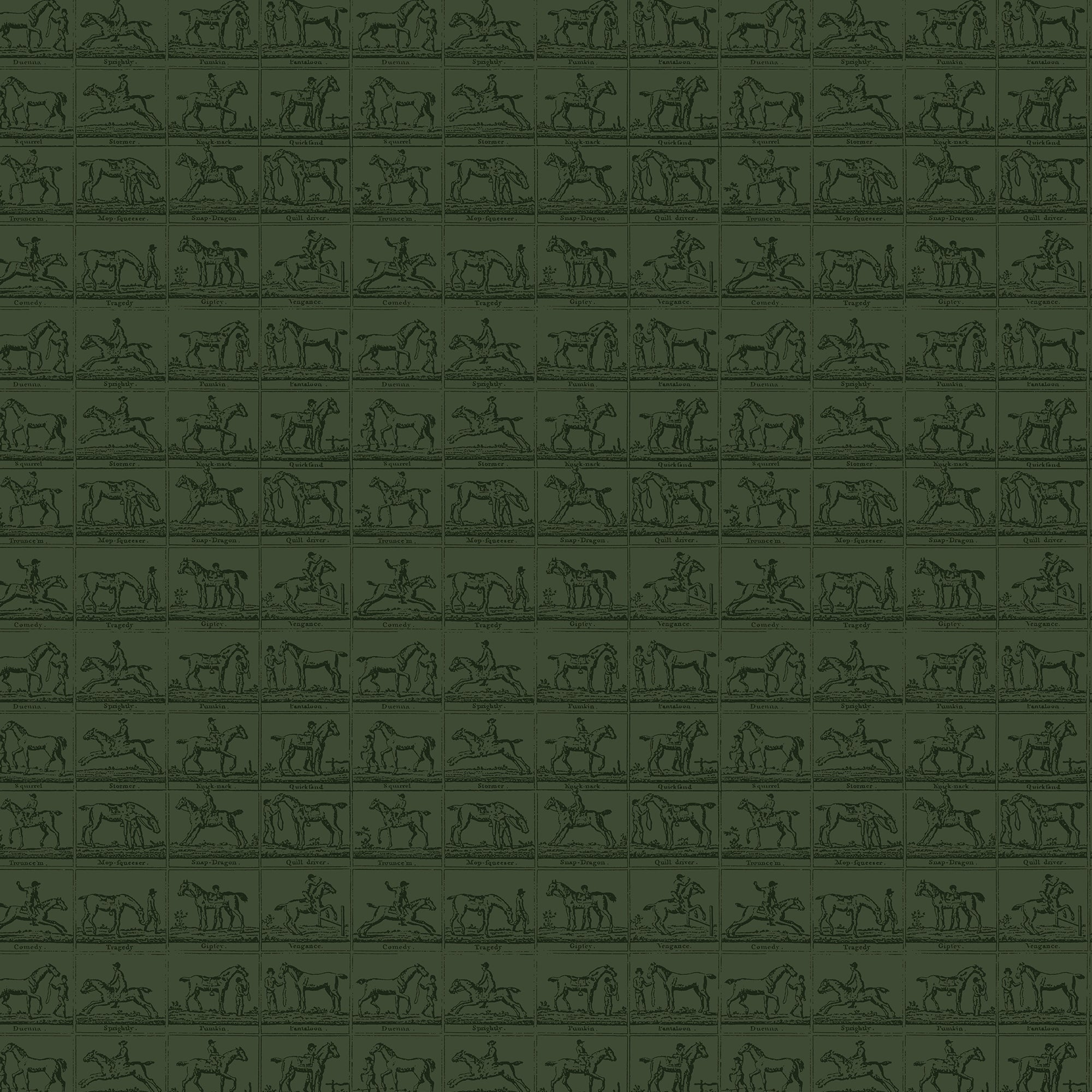 149519 Horse Grid Green Joules AW26 Wallpaper by Joules