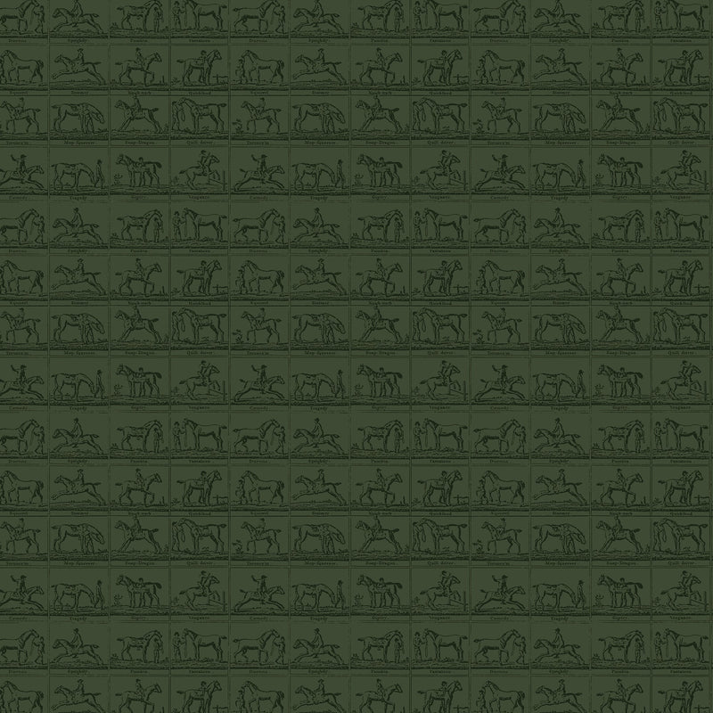 149519 Horse Grid Green Joules AW26 Wallpaper by Joules
