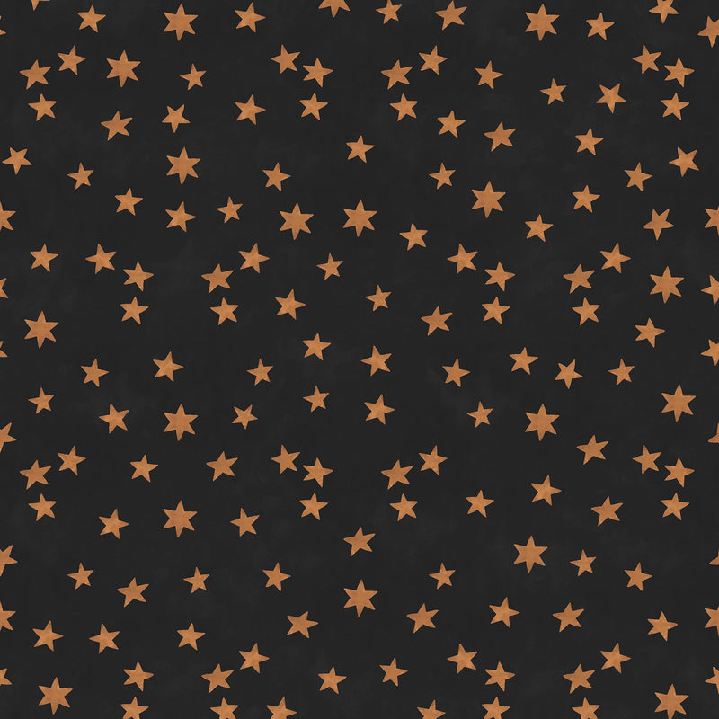 149620 Midnight Skies Noir Wallpaper by Rockett St George - flat