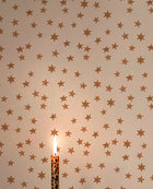 149621 Midnight Skies Ivory Wallpaper by Rockett St George - room