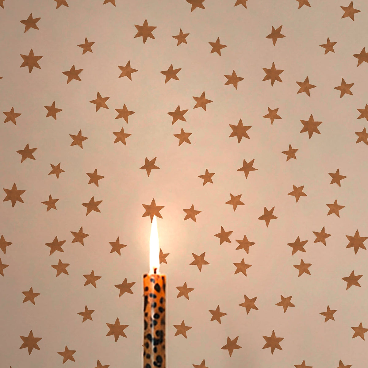 149621 Midnight Skies Ivory Wallpaper by Rockett St George - room