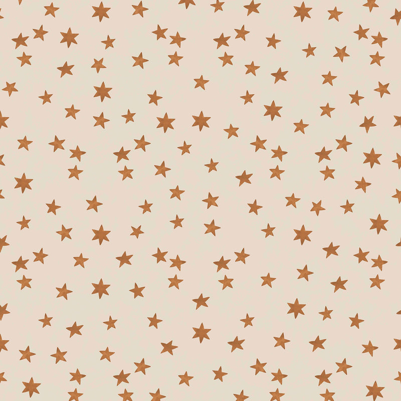 149621 Midnight Skies Ivory Wallpaper by Rockett St George - flat