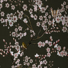 150167FXST Blossom Mischief Forest Mural by Rockett St George - room