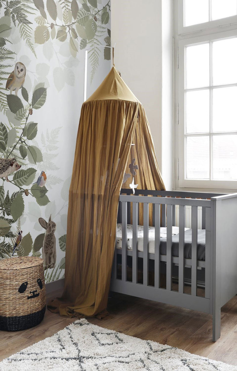 154-159049 Woodland Border 1 Mural Forest Friends Wallpaper By Today Interiors