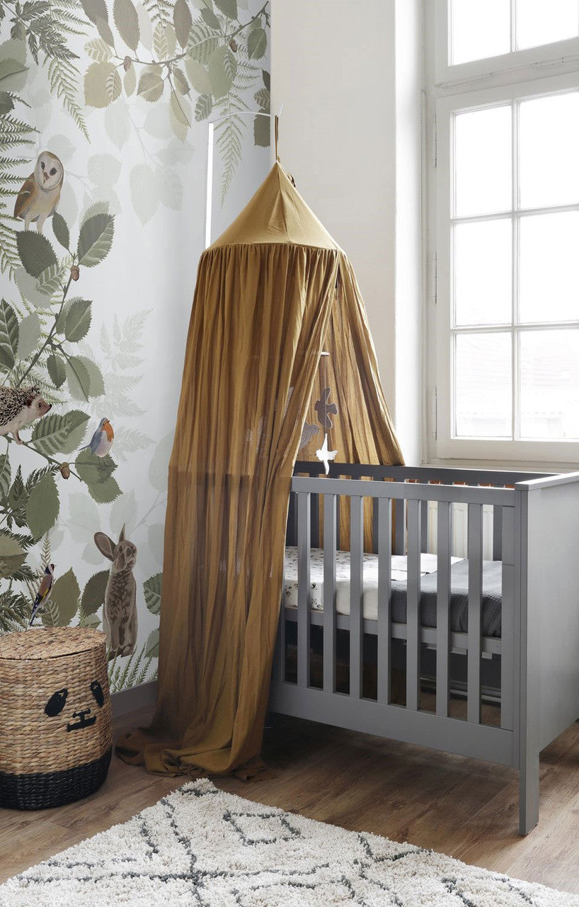 154-159049 Woodland Border 1 Mural Forest Friends Wallpaper By Today Interiors