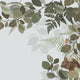 Woodland Border 2 Mural Forest Friends Wallpaper By Today Interiors