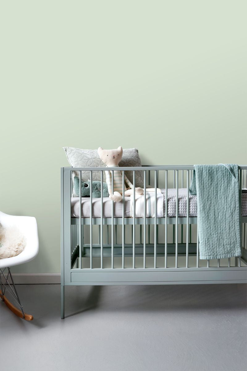 157-138923 Pastel Plain Forest Friends Wallpaper By Today Interiors