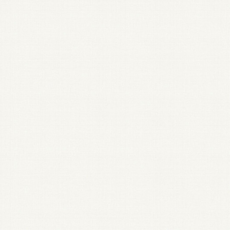 157-139022 Pastel Plain Forest Friends Wallpaper By Today Interiors