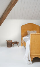 157-139022 Pastel Plain Forest Friends Wallpaper By Today Interiors