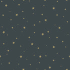 157-139261 Stars Forest Friends Wallpaper By Today Interiors