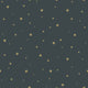 Stars Forest Friends Wallpaper By Today Interiors