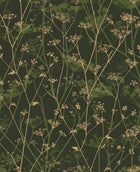 120385 Wild Chervil Wallpaper by Clarissa Hulse
