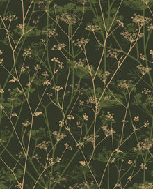 120385 Wild Chervil Wallpaper by Clarissa Hulse