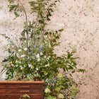 217276 Bambi Disney Home Sugared Almonds Wallpaper by Sanderson