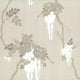 Leonora Camellia Wallpaper By 1838 Wallcoverings