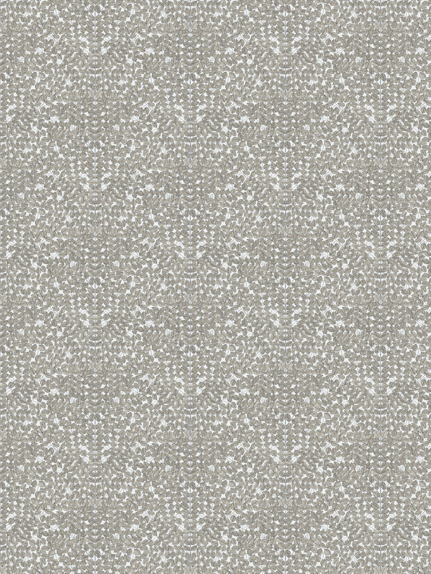 1768 Viola Gråsten Romans Black & White and Beige Wallpaper by Boråsta
