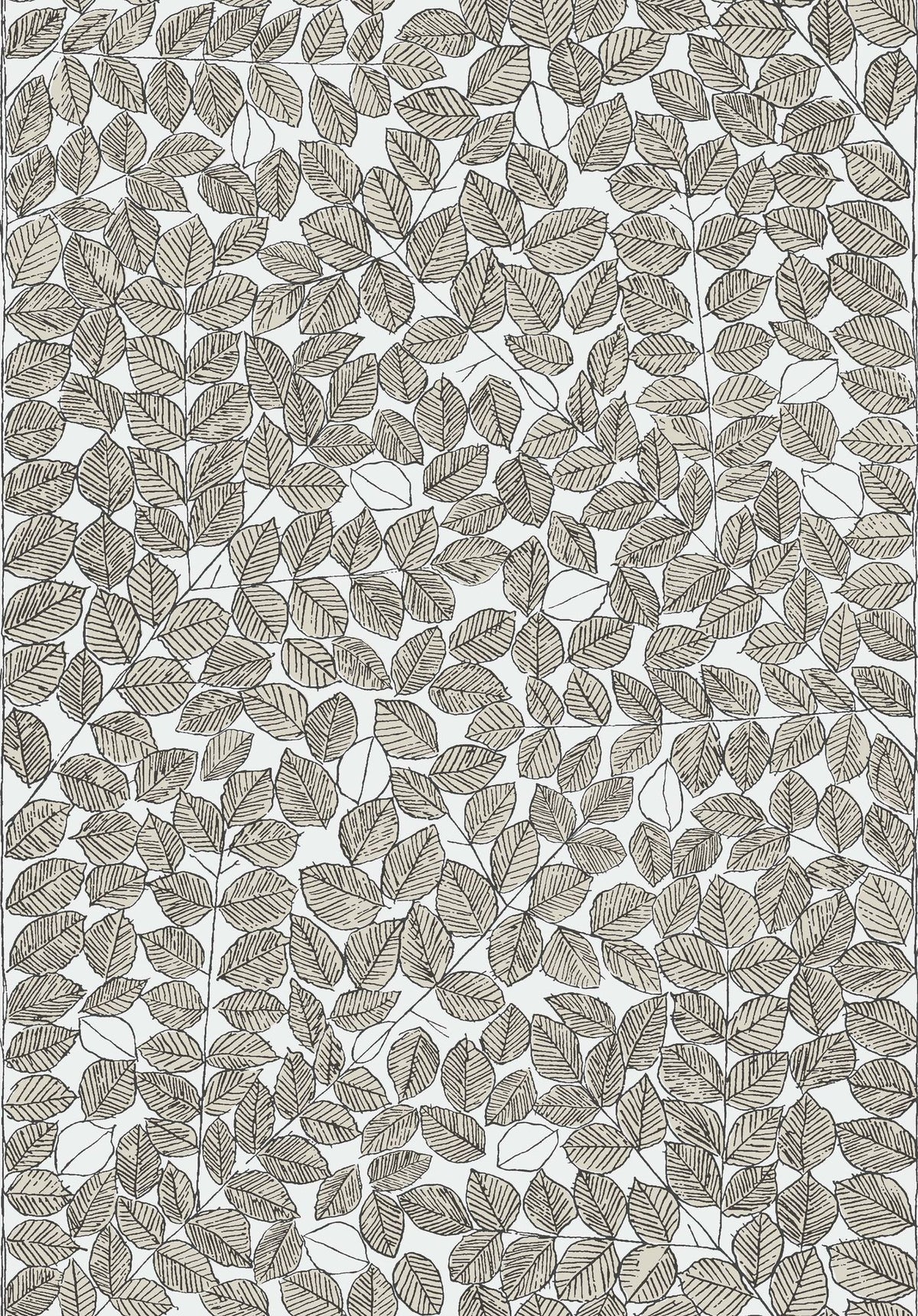 Viola Gråsten Romans Black & White and Beige Scandinavian Designers II Wallpaper by Boråstapeter