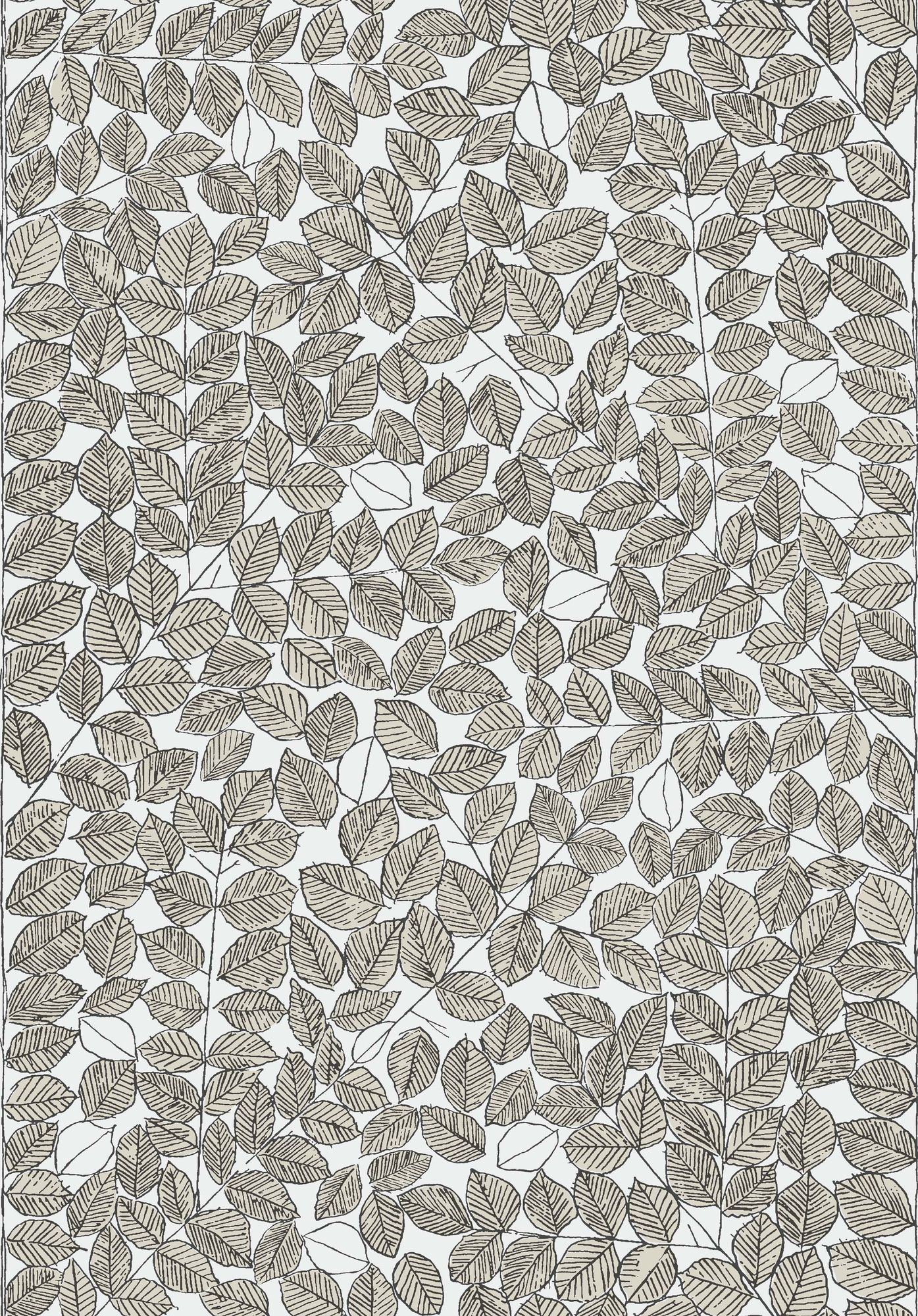 1768 Viola Gråsten Romans Black & White and Beige Wallpaper by Boråsta