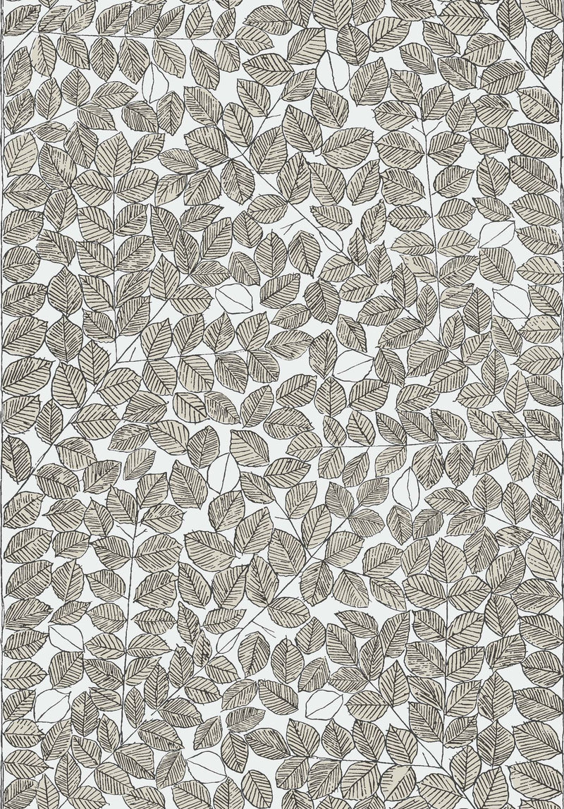 1768 Viola Gråsten Romans Black & White and Beige Wallpaper by Boråsta