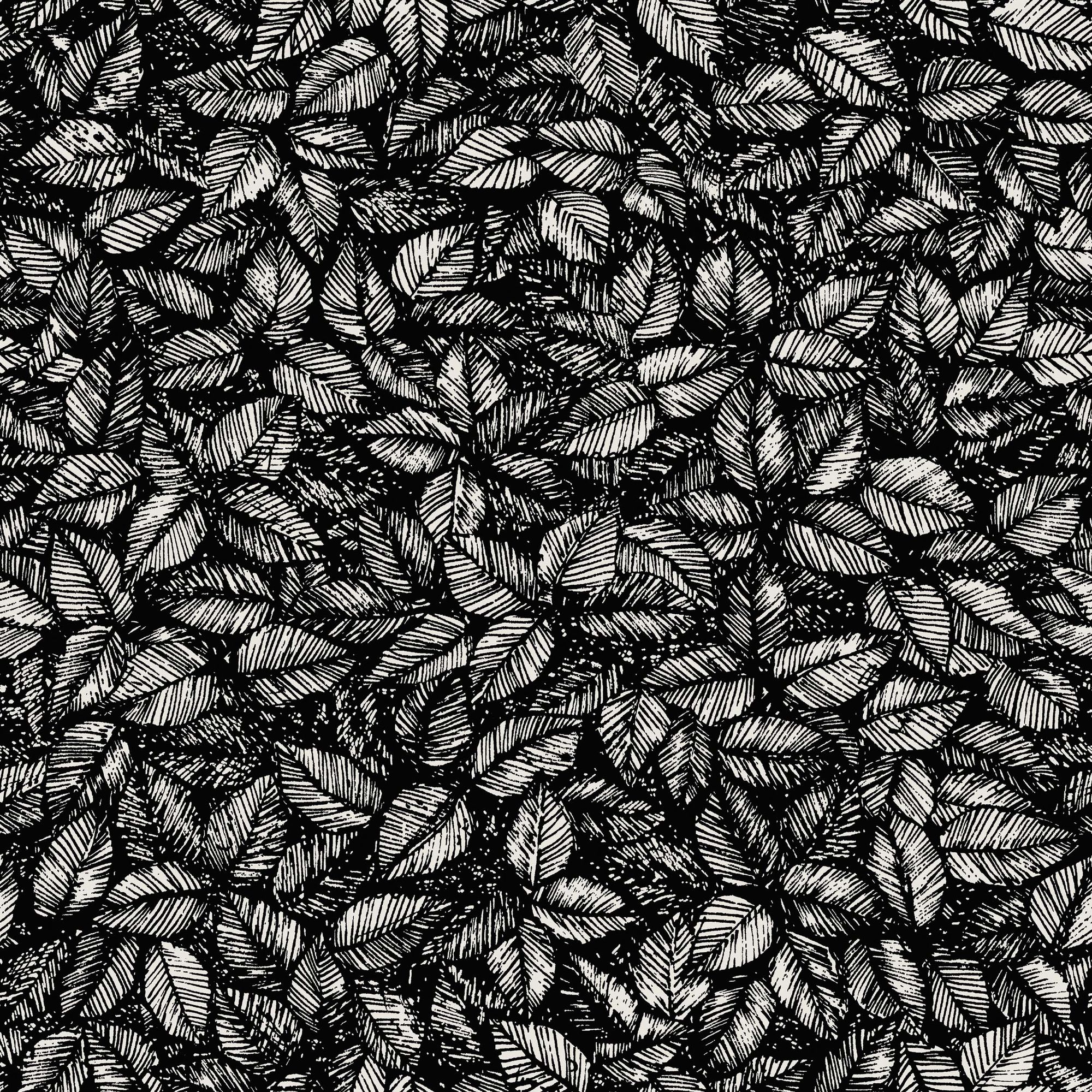 1773 Viola Gråsten Amorina Black & White Wallpaper by Boråstapeter