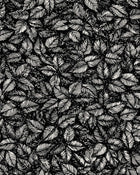 1773 Viola Gråsten Amorina Black & White Wallpaper by Boråstapeter