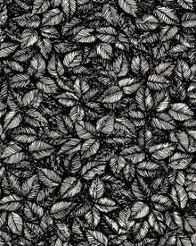 1773 Viola Gråsten Amorina Black & White Wallpaper by Boråstapeter